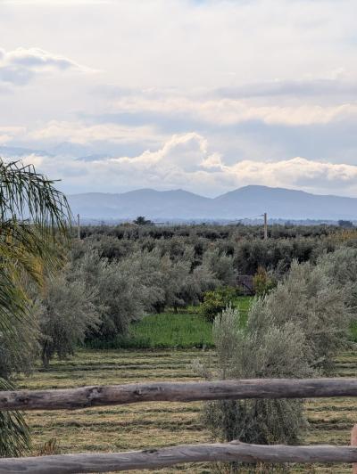 Exceptional Villa for Sale – Route de Fès