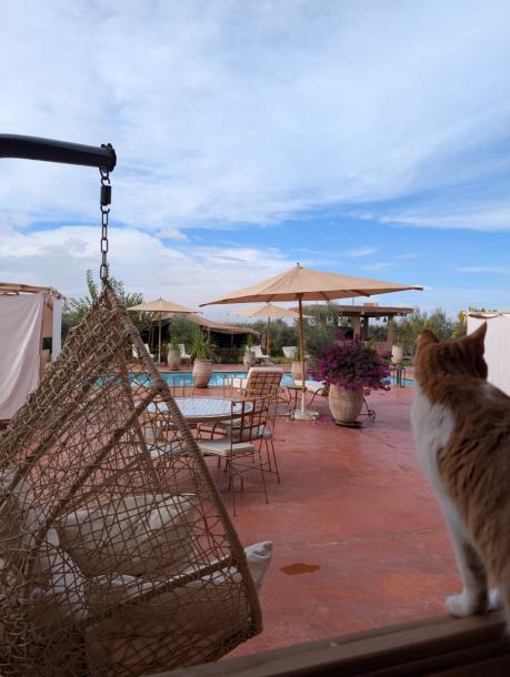 Exceptional Villa for Sale – Route de Fès-8