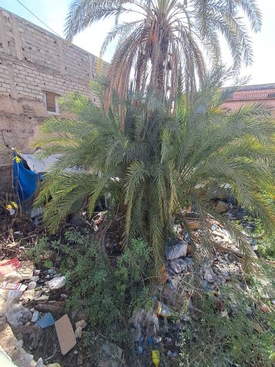 Titled Land for Sale – Zaouia Abbassia, Marrakech Medina